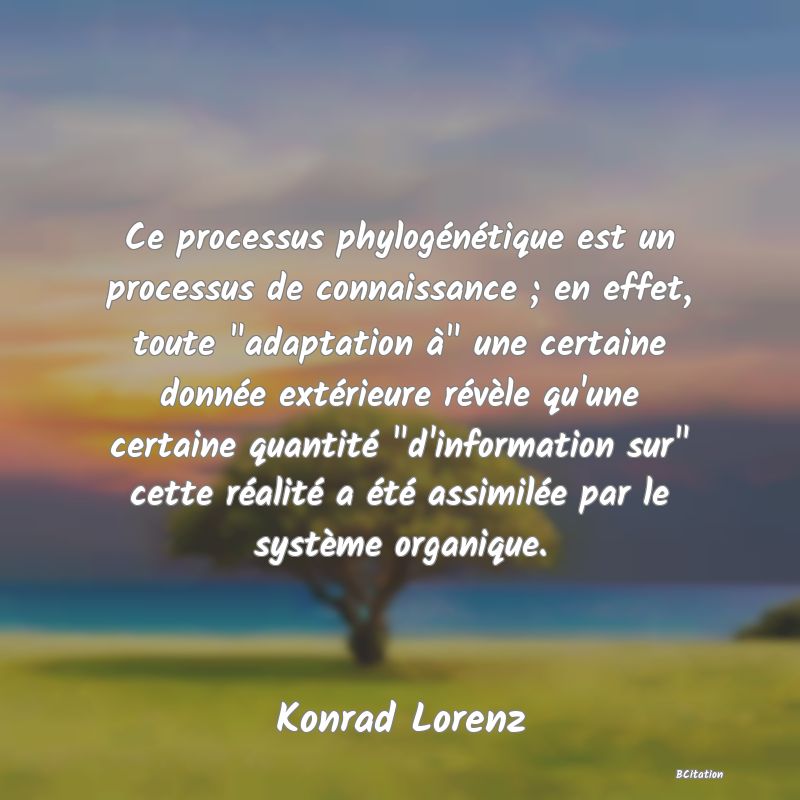 image de citation: Ce processus phylogénétique est un processus de connaissance ; en effet, toute  adaptation à  une certaine donnée extérieure révèle qu'une certaine quantité  d'information sur  cette réalité a été assimilée par le système organique.