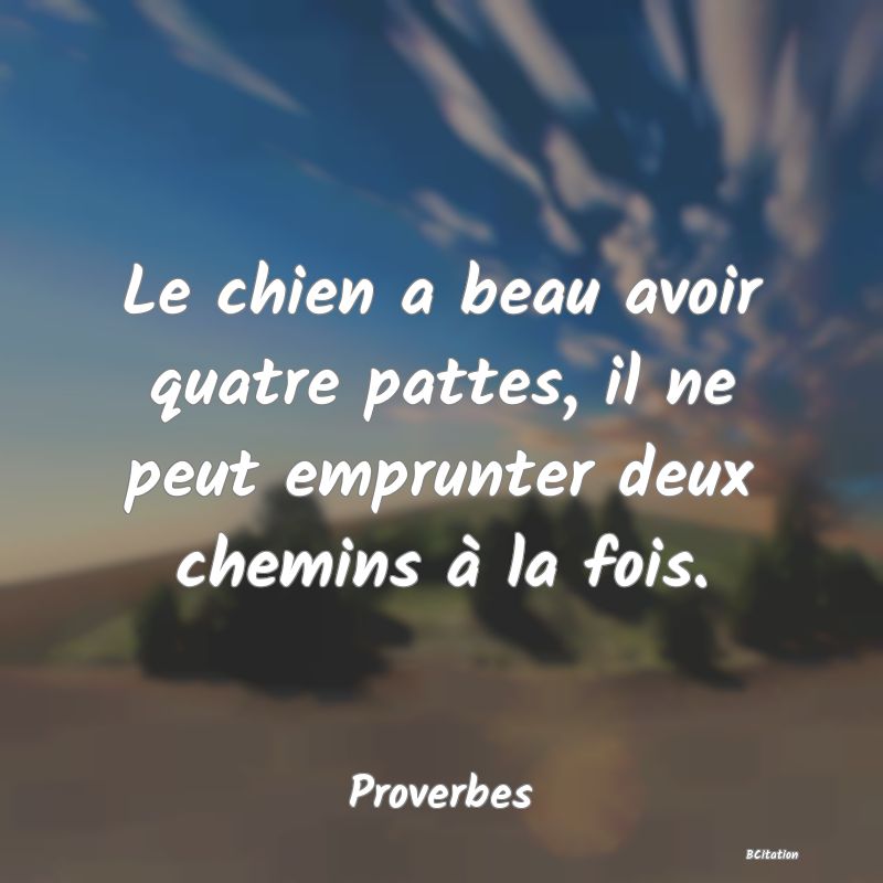 Belle Citation - Le chien a beau avoir quatre pattes, il ne peut emprunter deux chemins à la fois. - Proverbes