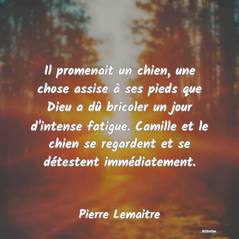 image de citation: Il promenait un chien, une chose assise à ses pieds que Dieu a dû bricoler un jour d'intense fatigue. Camille et le chien se regardent et se détestent immédiatement.