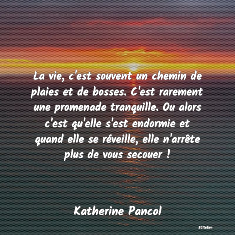 image de citation: La vie, c'est souvent un chemin de plaies et de bosses. C'est rarement une promenade tranquille. Ou alors c'est qu'elle s'est endormie et quand elle se réveille, elle n'arrête plus de vous secouer !