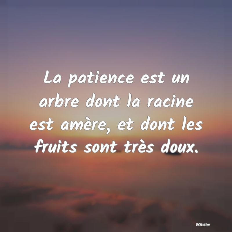 image de citation: La patience est un arbre dont la racine est amère, et dont les fruits sont très doux.