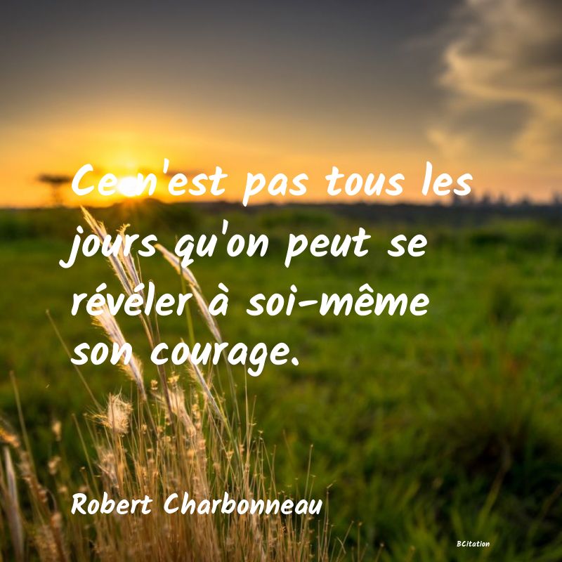 image de citation: Ce n'est pas tous les jours qu'on peut se révéler à soi-même son courage.