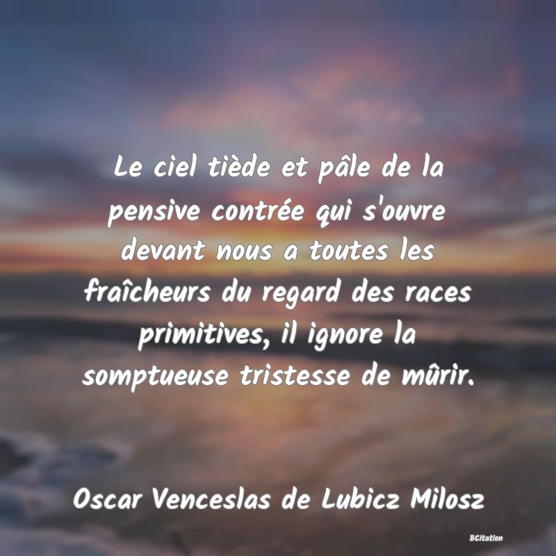 image de citation: Le ciel tiède et pâle de la pensive contrée qui s'ouvre devant nous a toutes les fraîcheurs du regard des races primitives, il ignore la somptueuse tristesse de mûrir.