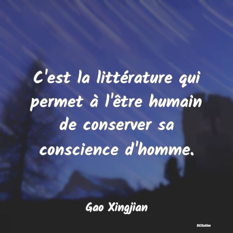 image de citation: C'est la littérature qui permet à l'être humain de conserver sa conscience d'homme.