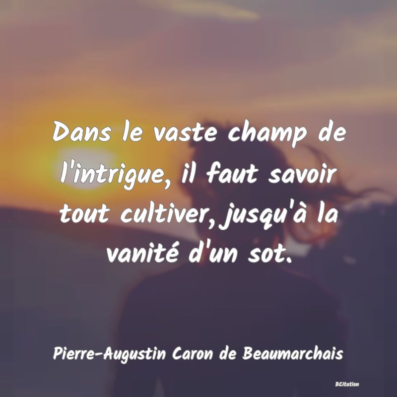 image de citation: Dans le vaste champ de l'intrigue, il faut savoir tout cultiver, jusqu'à la vanité d'un sot.