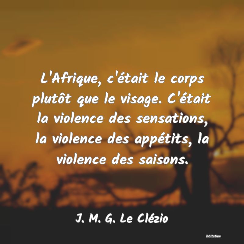 image de citation: L'Afrique, c'était le corps plutôt que le visage. C'était la violence des sensations, la violence des appétits, la violence des saisons.