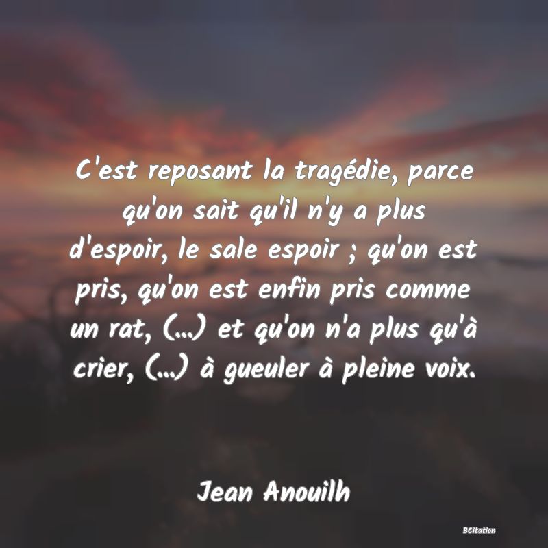 image de citation: C'est reposant la tragédie, parce qu'on sait qu'il n'y a plus d'espoir, le sale espoir ; qu'on est pris, qu'on est enfin pris comme un rat, (...) et qu'on n'a plus qu'à crier, (...) à gueuler à pleine voix.