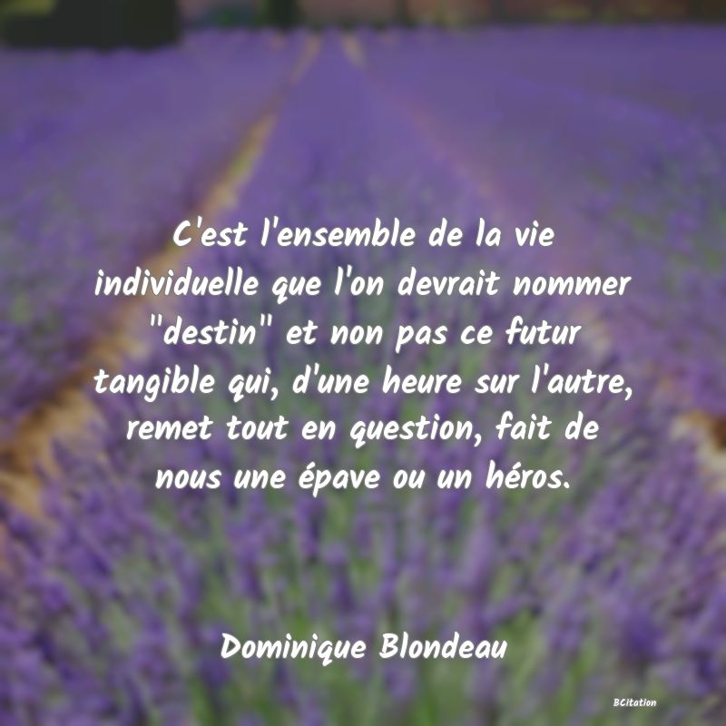 image de citation: C'est l'ensemble de la vie individuelle que l'on devrait nommer  destin  et non pas ce futur tangible qui, d'une heure sur l'autre, remet tout en question, fait de nous une épave ou un héros.