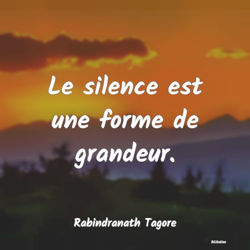 image de citation: Le silence est une forme de grandeur.