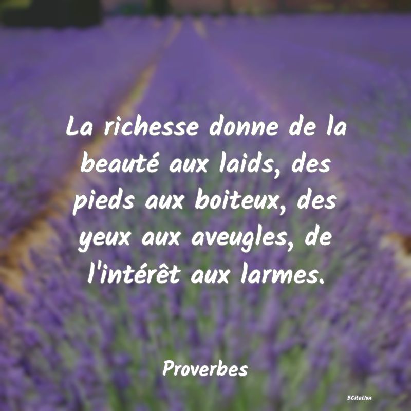 image de citation: La richesse donne de la beauté aux laids, des pieds aux boiteux, des yeux aux aveugles, de l'intérêt aux larmes.