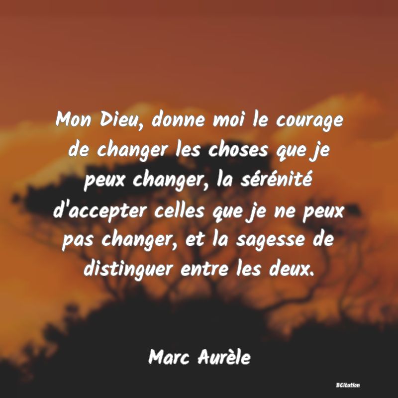 Belle Citation - Mon Dieu, donne moi le courage de changer les choses que je peux changer, la sérénité d'accepter celles que je ne peux pas changer, et la sagesse de distinguer entre les deux. - Marc Aurèle