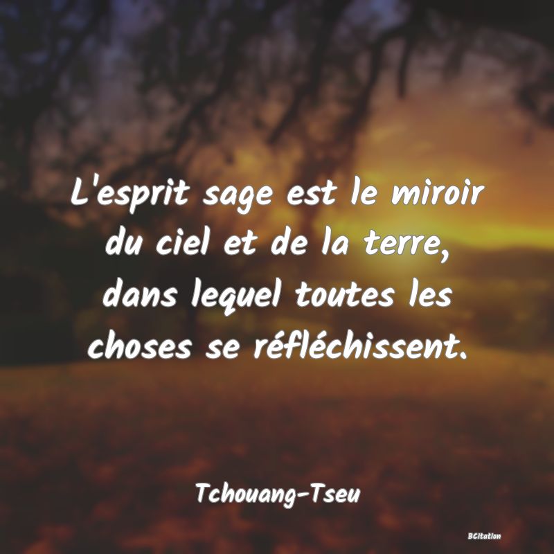 Belle Citation - L'esprit sage est le miroir du ciel et de la terre, dans lequel toutes les choses se réfléchissent. - Tchouang-Tseu