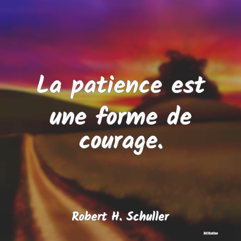 image de citation: La patience est une forme de courage.