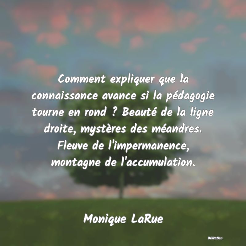 image de citation: Comment expliquer que la connaissance avance si la pédagogie tourne en rond ? Beauté de la ligne droite, mystères des méandres. Fleuve de l'impermanence, montagne de l'accumulation.