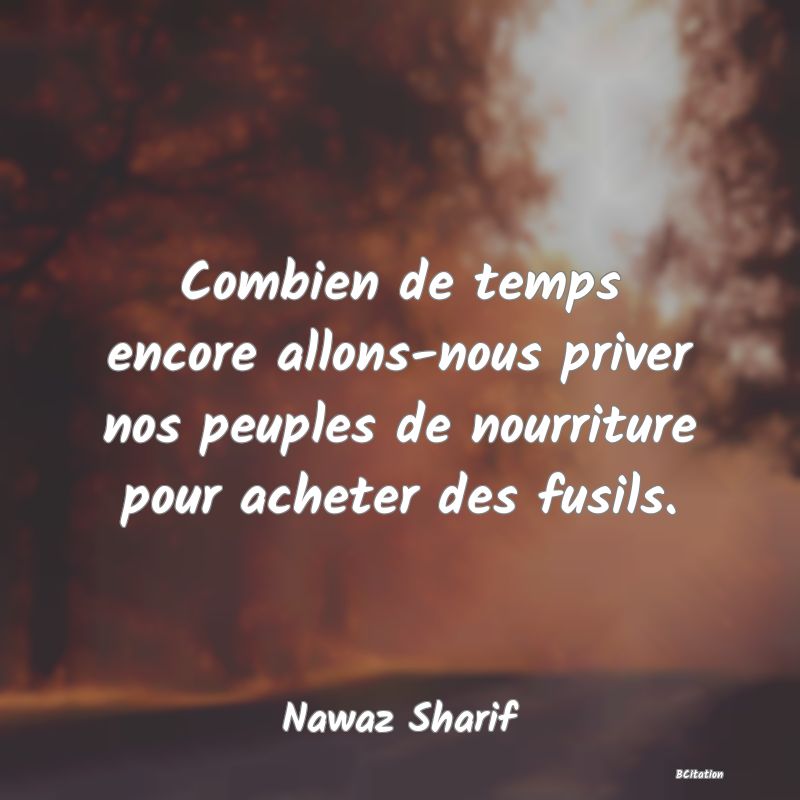 image de citation: Combien de temps encore allons-nous priver nos peuples de nourriture pour acheter des fusils.