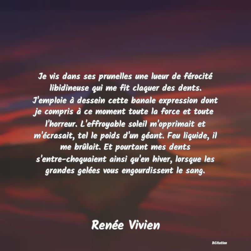 Belle Citation - Je vis dans ses prunelles une lueur de férocité libidineuse qui me fit claquer des dents. J'emploie à dessein cette banale expression dont je compris à ce moment toute la force et toute l'horreur. L'effroyable soleil m'opprimait et m'écrasait, tel le poids d'un géant. Feu liquide, il me brûlait. Et pourtant mes dents s'entre-choquaient ainsi qu'en hiver, lorsque les grandes gelées vous engourdissent le sang. - Renée Vivien