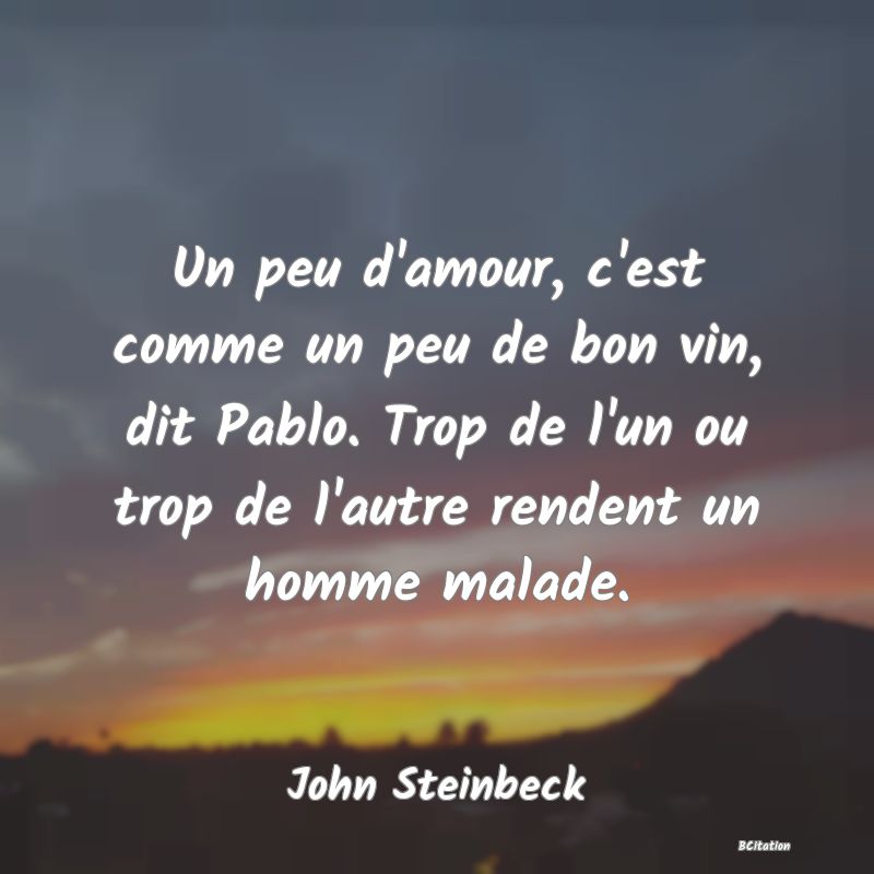 image de citation: Un peu d'amour, c'est comme un peu de bon vin, dit Pablo. Trop de l'un ou trop de l'autre rendent un homme malade.