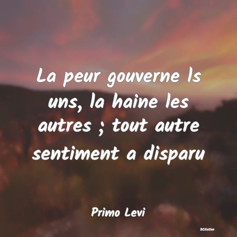 image de citation: La peur gouverne ls uns, la haine les autres ; tout autre sentiment a disparu