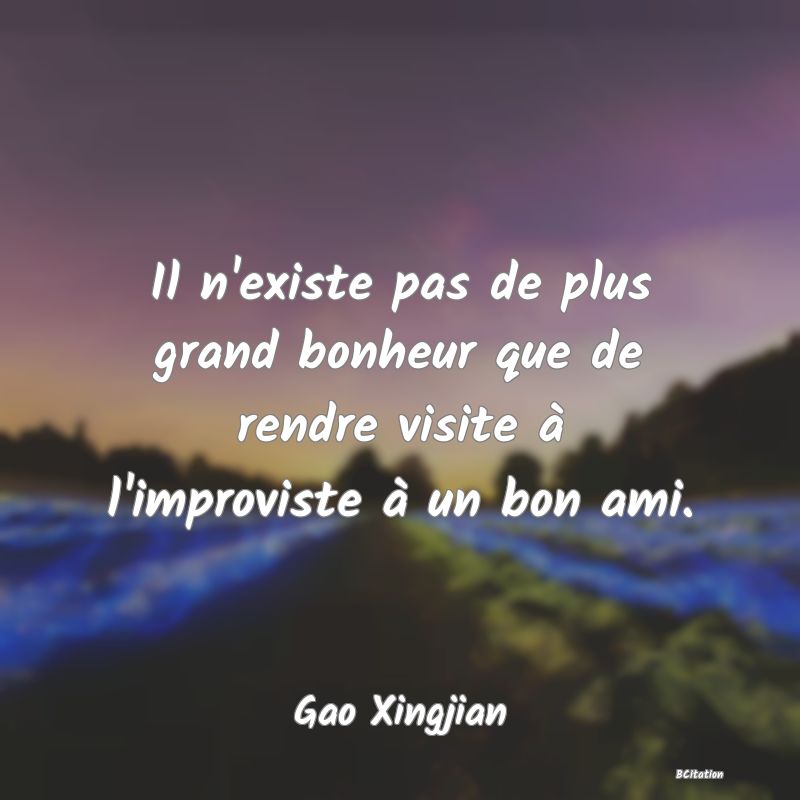 image de citation: Il n'existe pas de plus grand bonheur que de rendre visite à l'improviste à un bon ami.