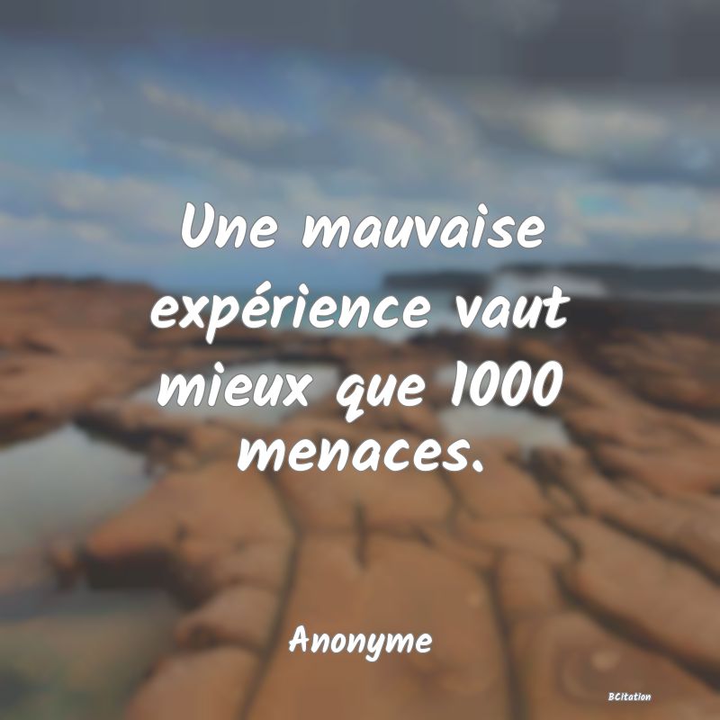 image de citation: Une mauvaise expérience vaut mieux que 1000 menaces.