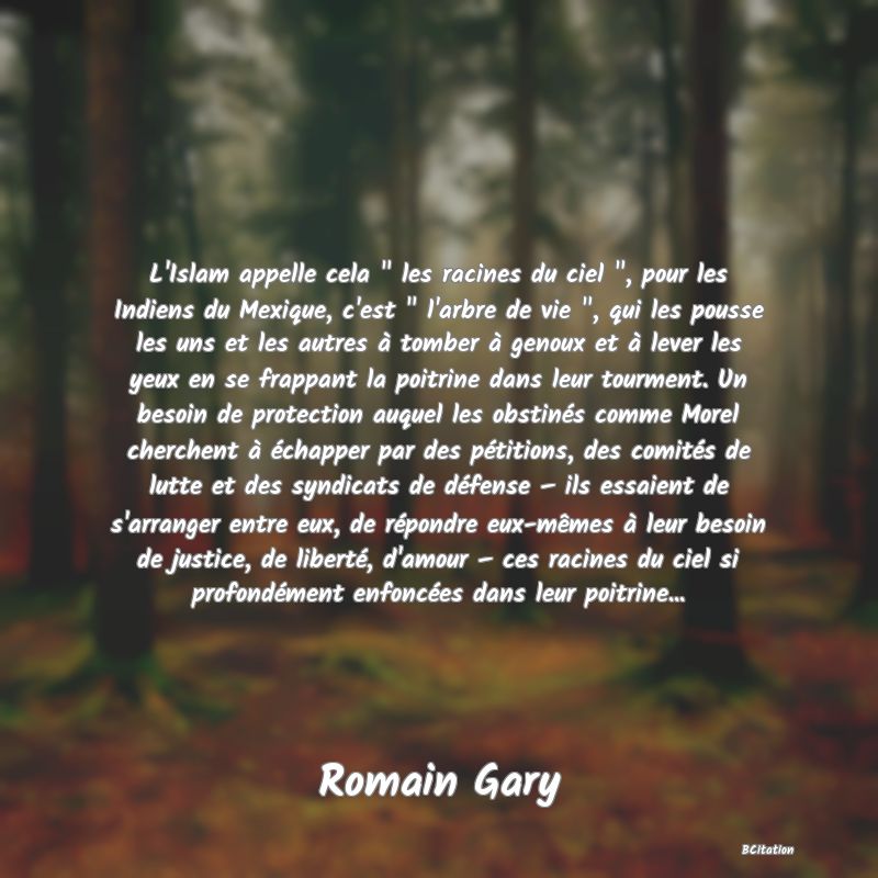 Belle Citation - L'Islam appelle cela 