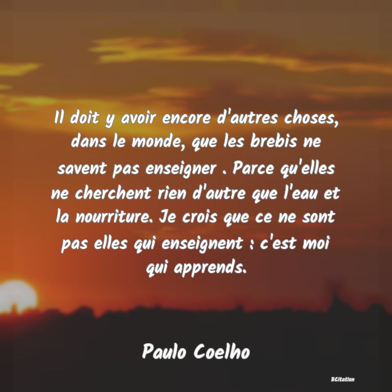 image de citation: Il doit y avoir encore d'autres choses, dans le monde, que les brebis ne savent pas enseigner . Parce qu'elles ne cherchent rien d'autre que l'eau et la nourriture. Je crois que ce ne sont pas elles qui enseignent : c'est moi qui apprends.