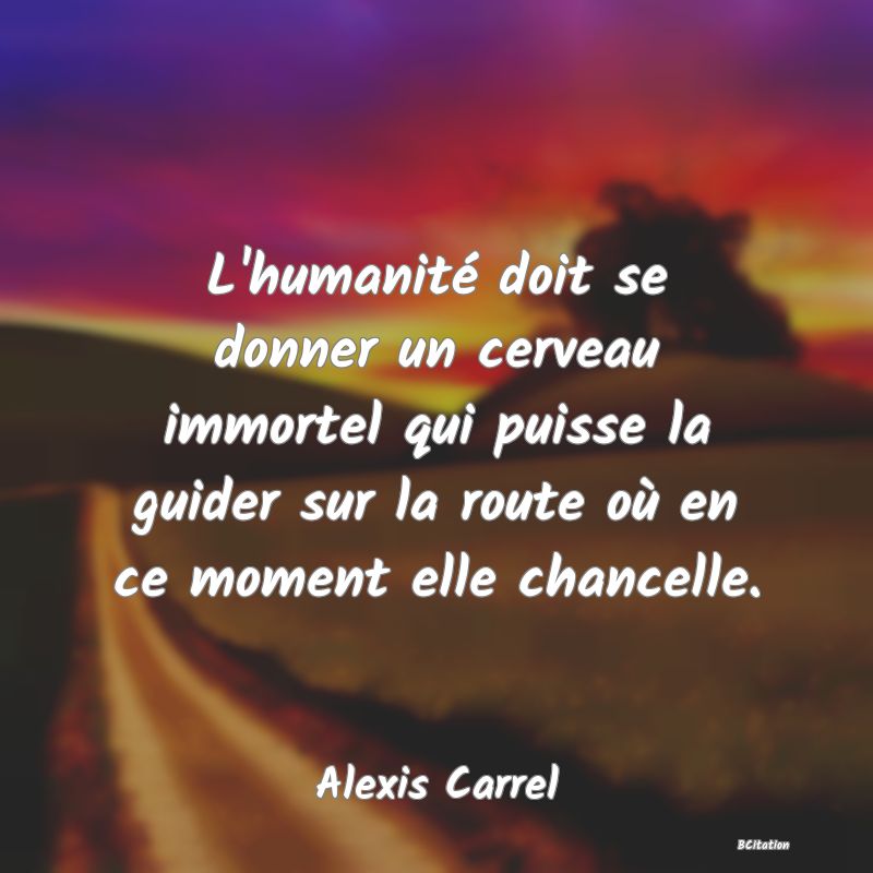 image de citation: L'humanité doit se donner un cerveau immortel qui puisse la guider sur la route où en ce moment elle chancelle.