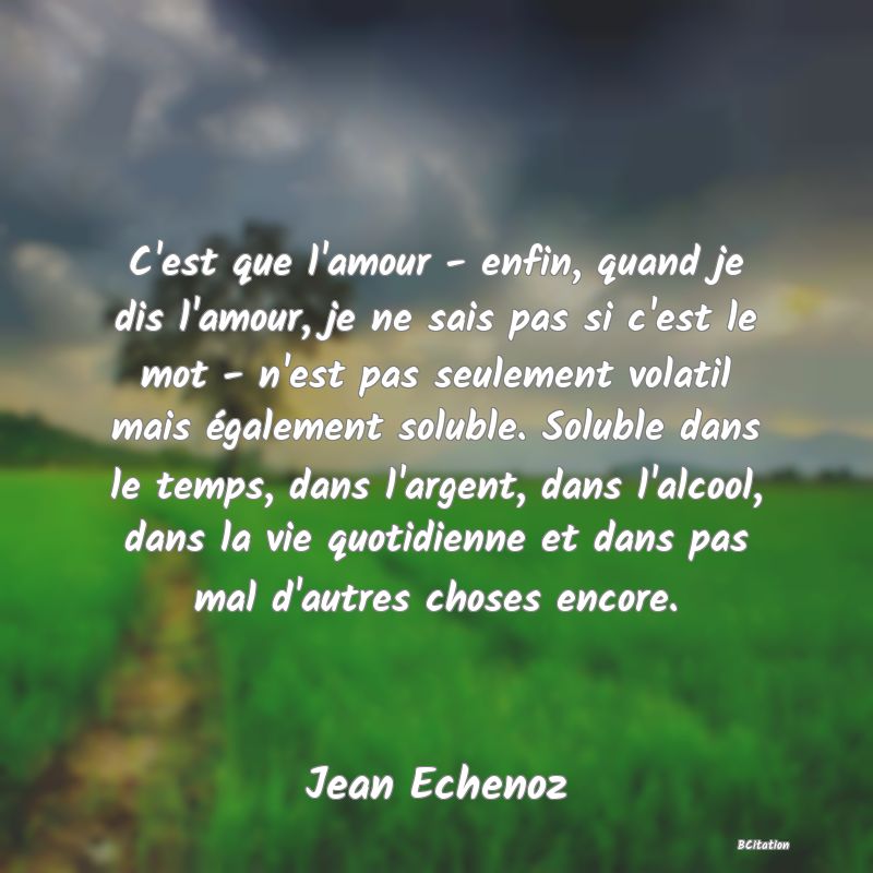 image de citation: C'est que l'amour - enfin, quand je dis l'amour, je ne sais pas si c'est le mot - n'est pas seulement volatil mais également soluble. Soluble dans le temps, dans l'argent, dans l'alcool, dans la vie quotidienne et dans pas mal d'autres choses encore.