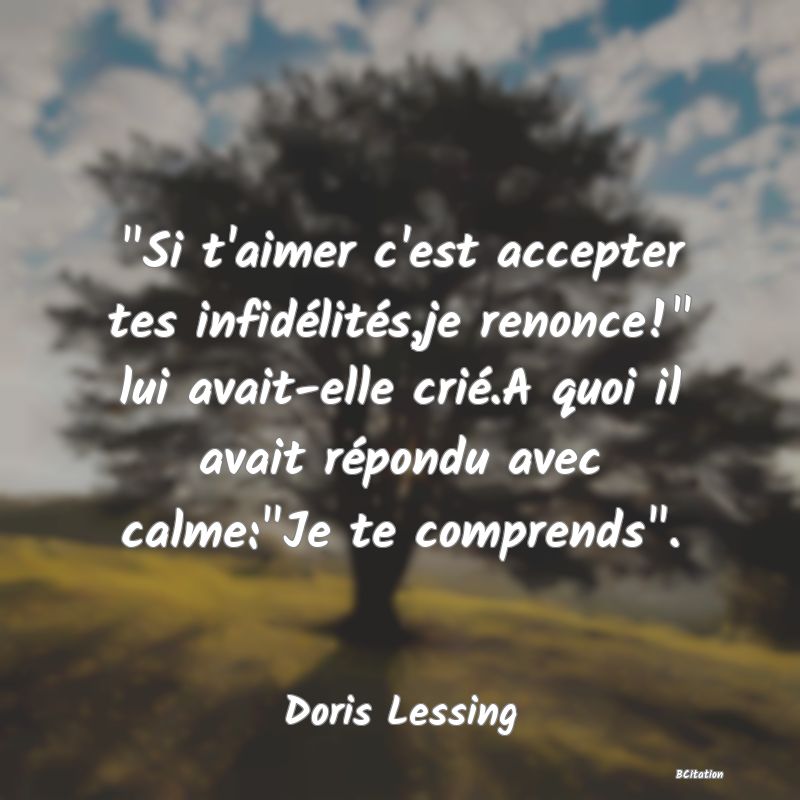 image de citation:  Si t'aimer c'est accepter tes infidélités,je renonce!  lui avait-elle crié.A quoi il avait répondu avec calme: Je te comprends .