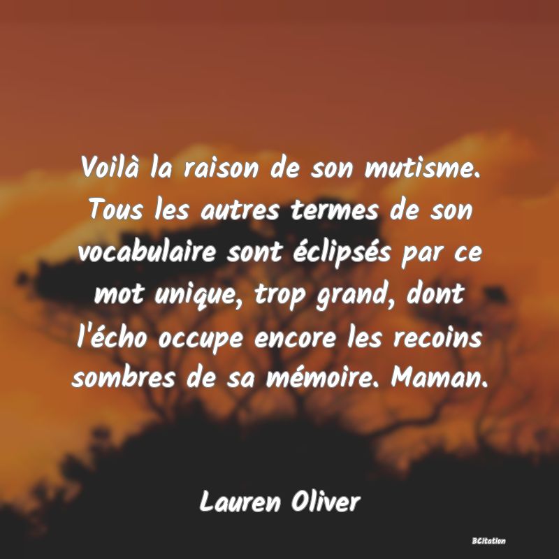 image de citation: Voilà la raison de son mutisme. Tous les autres termes de son vocabulaire sont éclipsés par ce mot unique, trop grand, dont l'écho occupe encore les recoins sombres de sa mémoire. Maman.