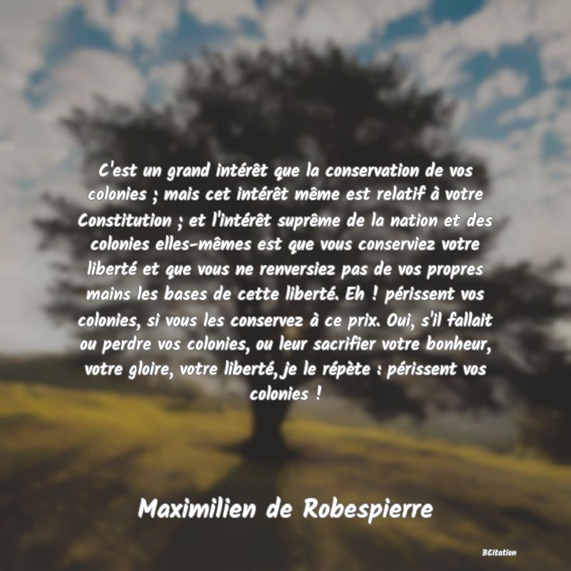 image de citation: C'est un grand intérêt que la conservation de vos colonies ; mais cet intérêt même est relatif à votre Constitution ; et l'intérêt suprême de la nation et des colonies elles-mêmes est que vous conserviez votre liberté et que vous ne renversiez pas de vos propres mains les bases de cette liberté. Eh ! périssent vos colonies, si vous les conservez à ce prix. Oui, s'il fallait ou perdre vos colonies, ou leur sacrifier votre bonheur, votre gloire, votre liberté, je le répète : périssent vos colonies !