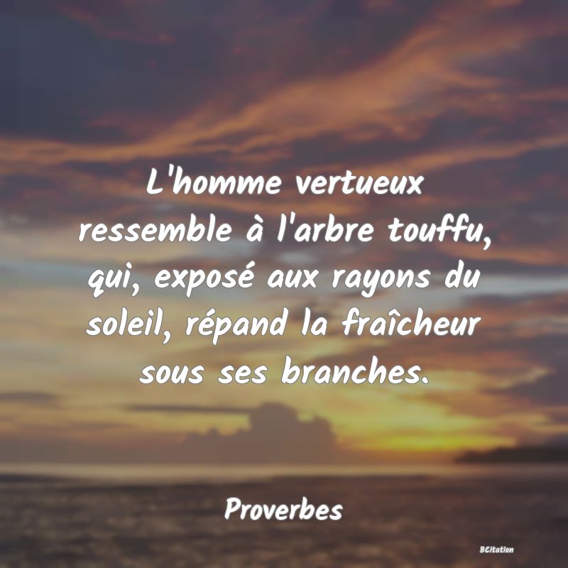 Belle Citation - L'homme vertueux ressemble à l'arbre touffu, qui, exposé aux rayons du soleil, répand la fraîcheur sous ses branches. - Proverbes
