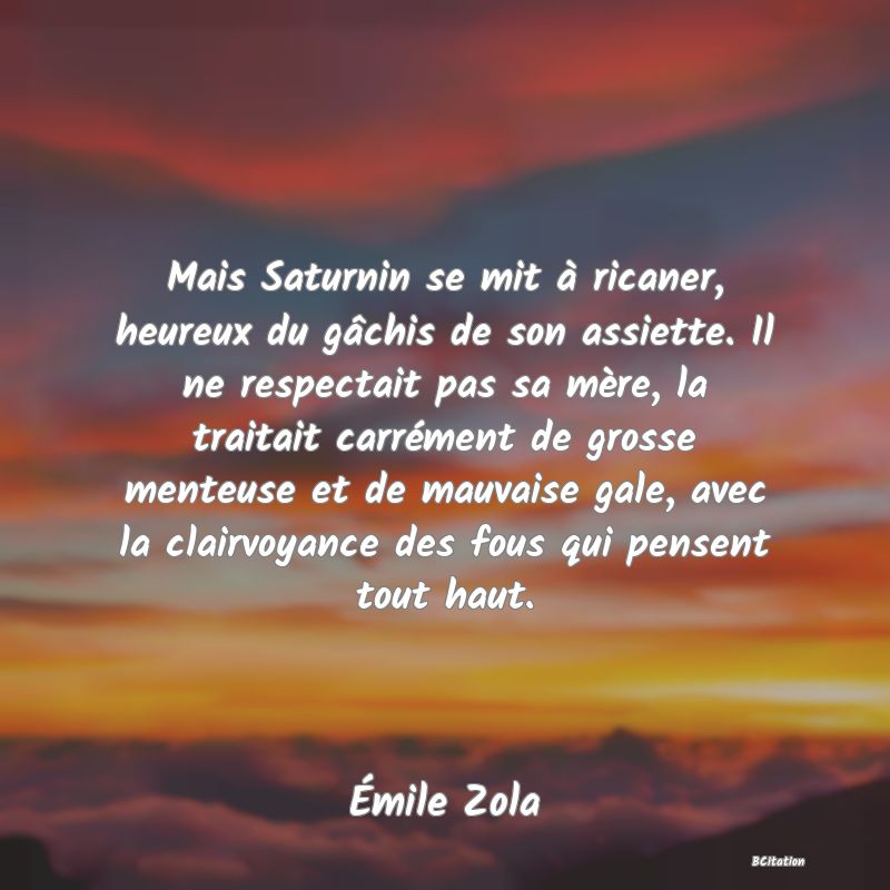 image de citation: Mais Saturnin se mit à ricaner, heureux du gâchis de son assiette. Il ne respectait pas sa mère, la traitait carrément de grosse menteuse et de mauvaise gale, avec la clairvoyance des fous qui pensent tout haut.