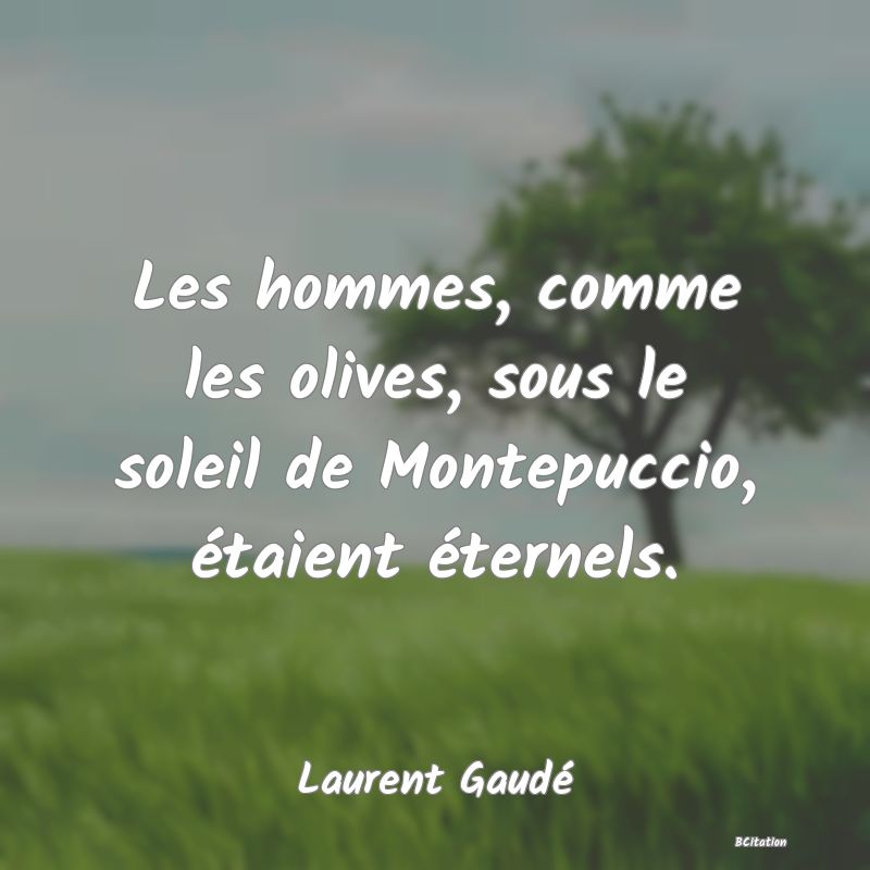 image de citation: Les hommes, comme les olives, sous le soleil de Montepuccio, étaient éternels.