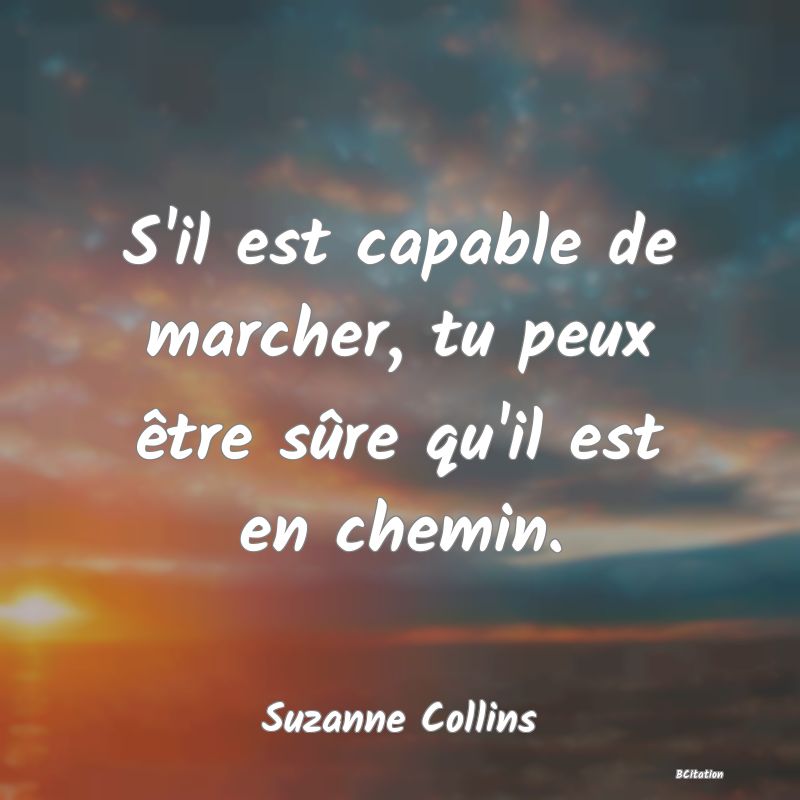 image de citation: S'il est capable de marcher, tu peux être sûre qu'il est en chemin.