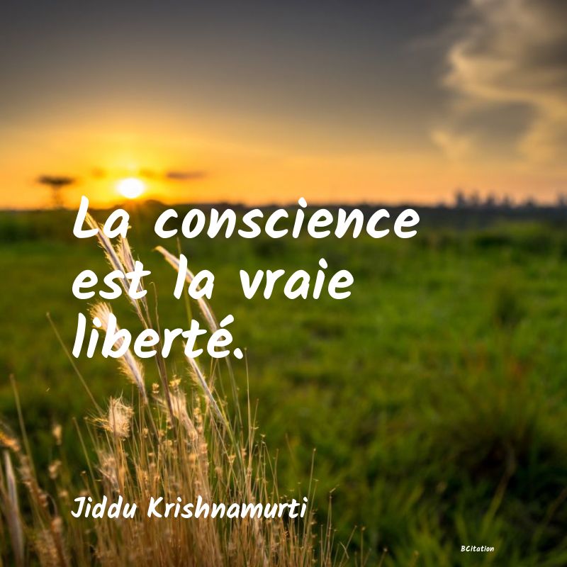 image de citation: La conscience est la vraie liberté.