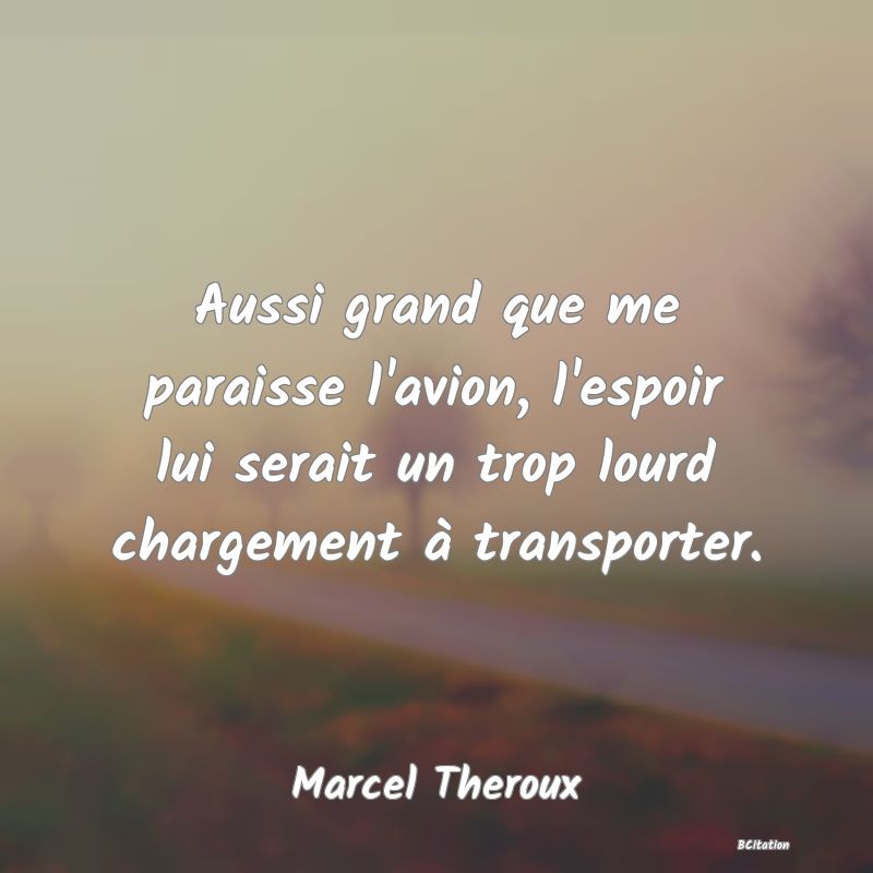 image de citation: Aussi grand que me paraisse l'avion, l'espoir lui serait un trop lourd chargement à transporter.