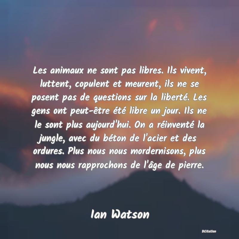 image de citation: Les animaux ne sont pas libres. Ils vivent, luttent, copulent et meurent, ils ne se posent pas de questions sur la liberté. Les gens ont peut-être été libre un jour. Ils ne le sont plus aujourd'hui. On a réinventé la jungle, avec du béton de l'acier et des ordures. Plus nous nous mordernisons, plus nous nous rapprochons de l'âge de pierre.