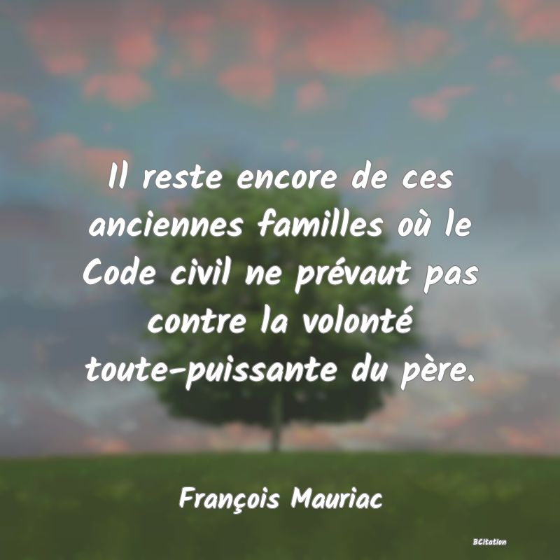 image de citation: Il reste encore de ces anciennes familles où le Code civil ne prévaut pas contre la volonté toute-puissante du père.