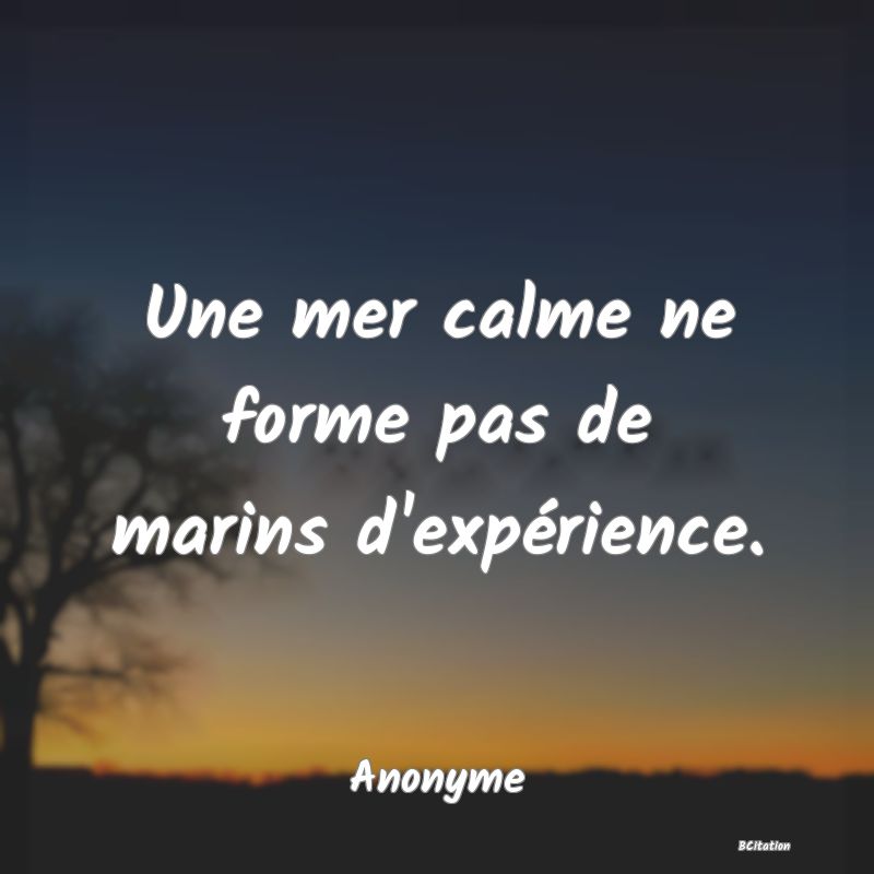 Belle Citation - Une mer calme ne forme pas de marins d'expérience. - Anonyme