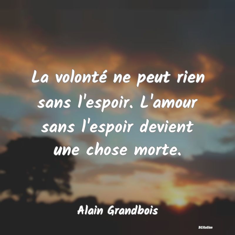 image de citation: La volonté ne peut rien sans l'espoir. L'amour sans l'espoir devient une chose morte.