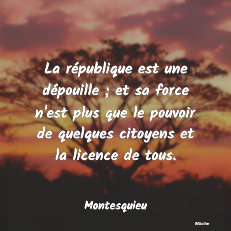 image de citation: La république est une dépouille ; et sa force n'est plus que le pouvoir de quelques citoyens et la licence de tous.