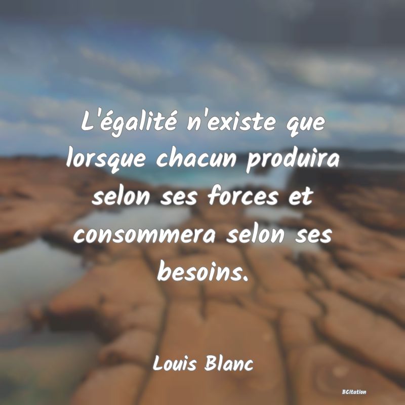 image de citation: L'égalité n'existe que lorsque chacun produira selon ses forces et consommera selon ses besoins.