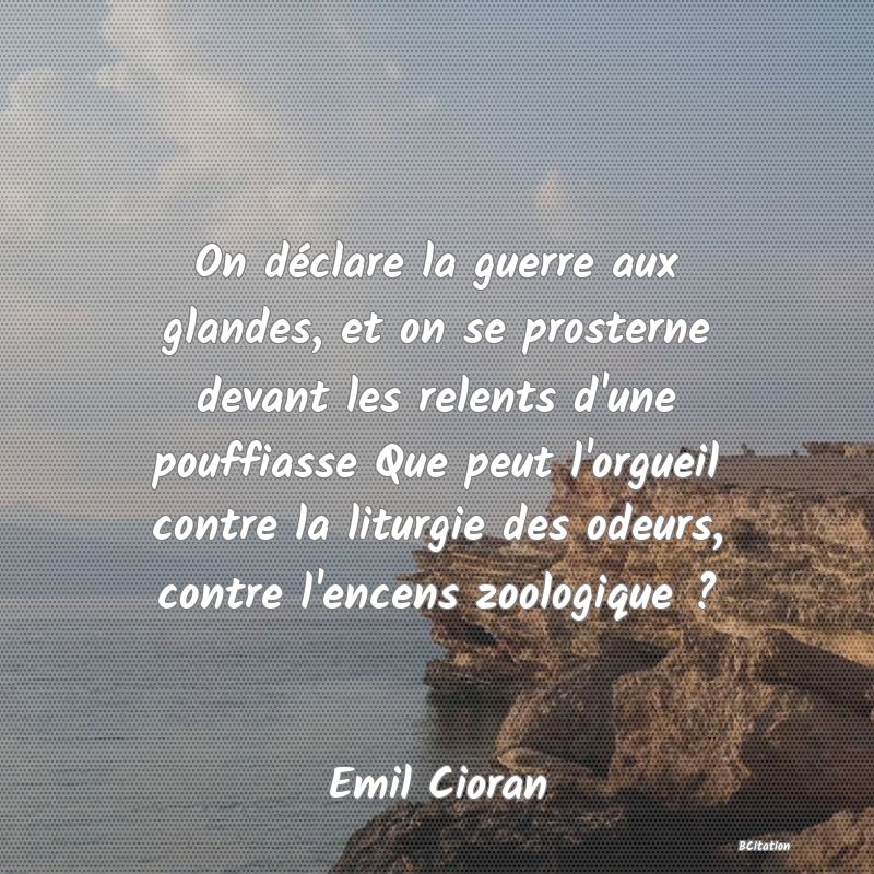 image de citation: On déclare la guerre aux glandes, et on se prosterne devant les relents d'une pouffiasse Que peut l'orgueil contre la liturgie des odeurs, contre l'encens zoologique ?