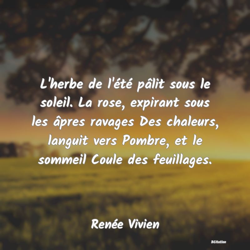 image de citation: L'herbe de l'été pâlit sous le soleil. La rose, expirant sous les âpres ravages Des chaleurs, languit vers Pombre, et le sommeil Coule des feuillages.