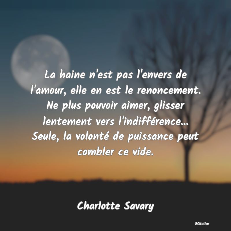 image de citation: La haine n'est pas l'envers de l'amour, elle en est le renoncement. Ne plus pouvoir aimer, glisser lentement vers l'indifférence... Seule, la volonté de puissance peut combler ce vide.