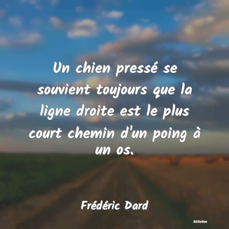 image de citation: Un chien pressé se souvient toujours que la ligne droite est le plus court chemin d'un poing à un os.