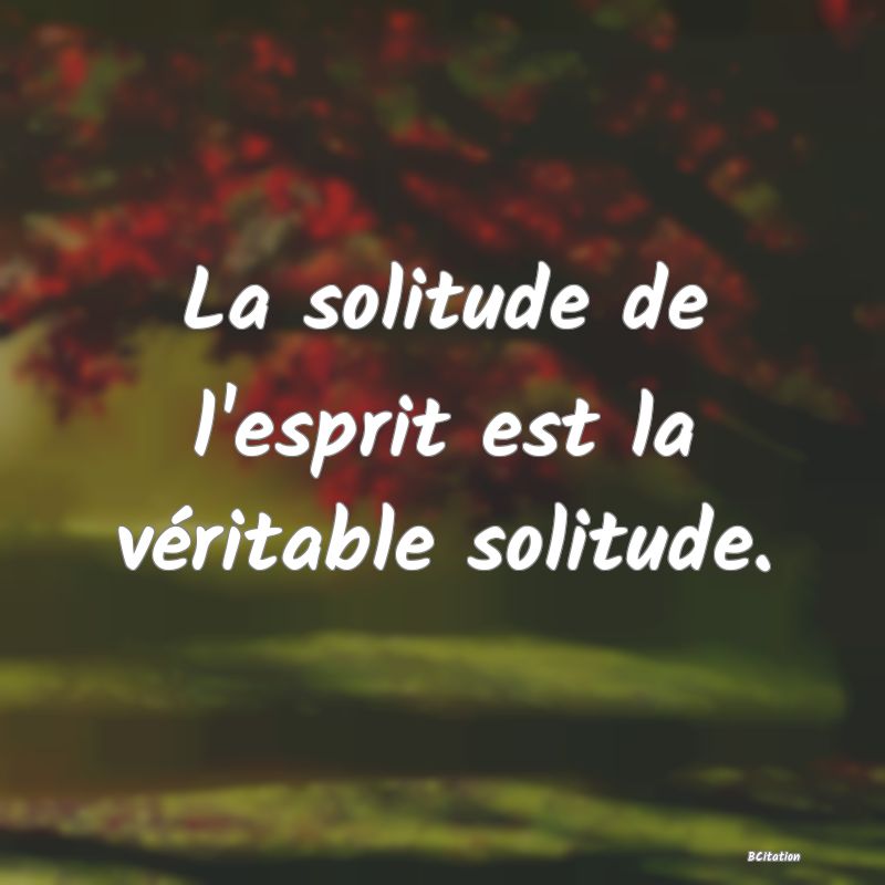 Belle Citation - La solitude de l'esprit est la véritable solitude. - 