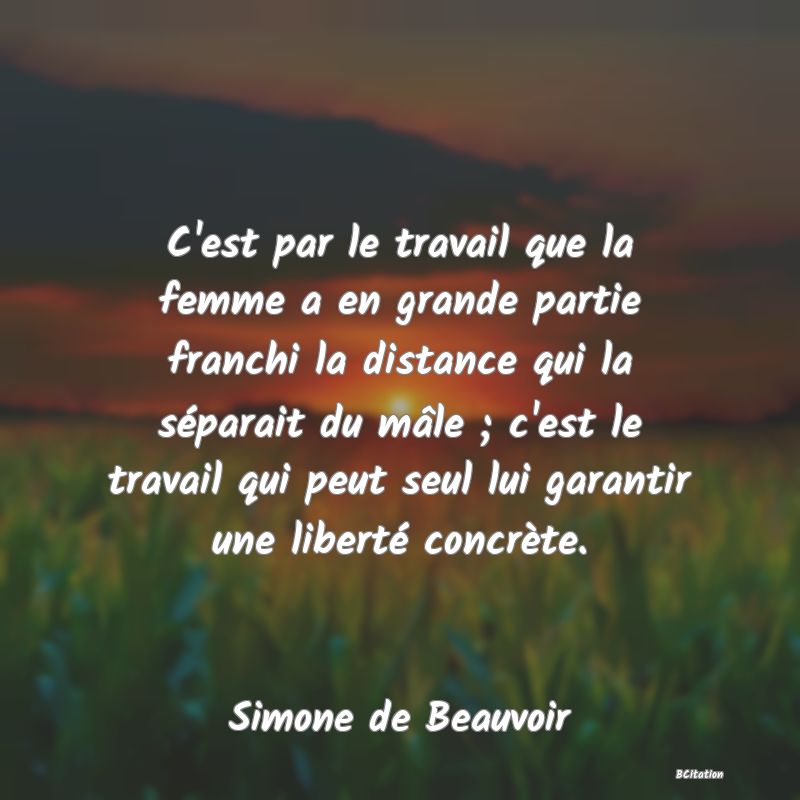 Belle Citation - C'est par le travail que la femme a en grande partie franchi la distance qui la séparait du mâle ; c'est le travail qui peut seul lui garantir une liberté concrète. - Simone de Beauvoir