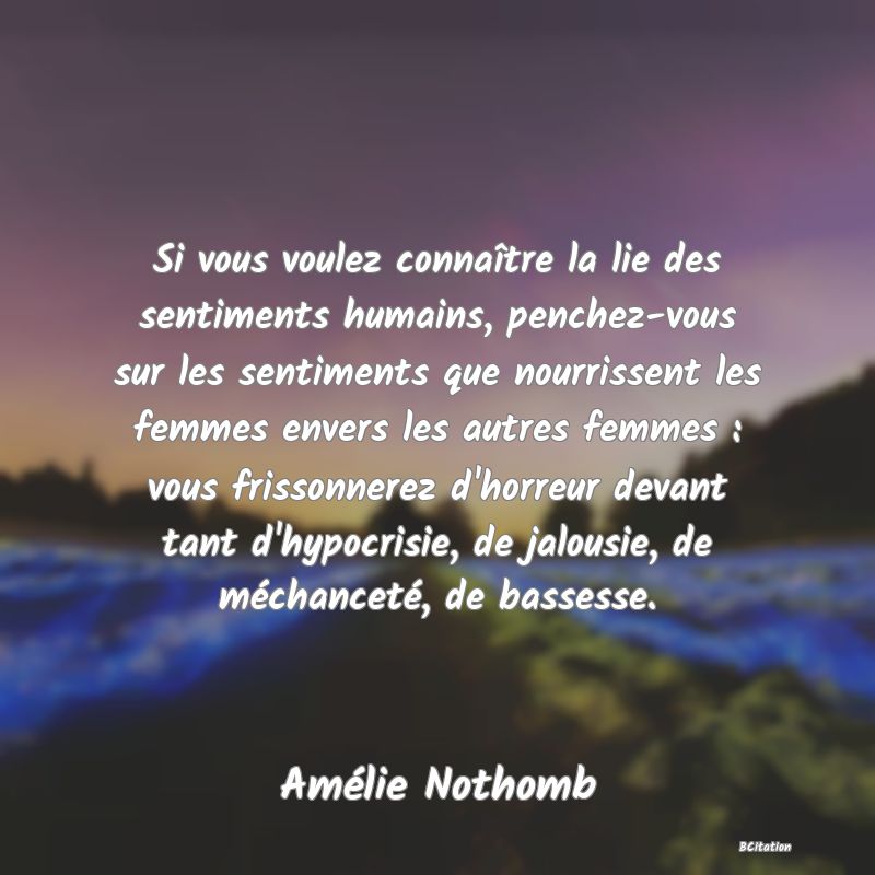 Belle Citation - Si vous voulez connaître la lie des sentiments humains, penchez-vous sur les sentiments que nourrissent les femmes envers les autres femmes : vous frissonnerez d'horreur devant tant d'hypocrisie, de jalousie, de méchanceté, de bassesse. - Amélie Nothomb